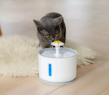 VivaPaw - Fuente de bienestar para tu compañero fiel