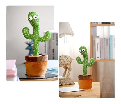 Cactus Bailarín - Aprovecha esta Navidad