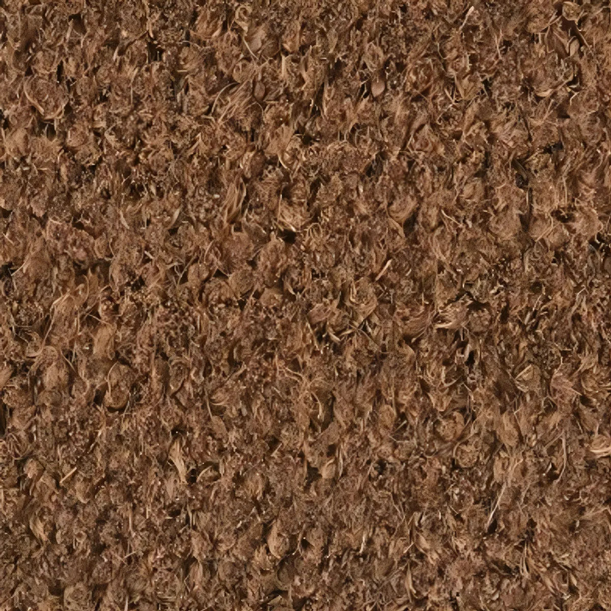 PasoFirme - El Choapino que elevará el estándar de tu casa