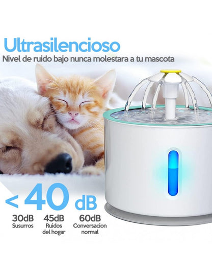 VivaPaw - Fuente de bienestar para tu compañero fiel