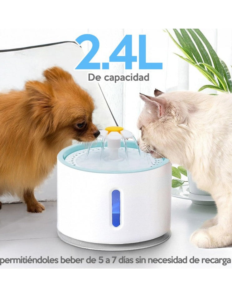 VivaPaw - Fuente de bienestar para tu compañero fiel