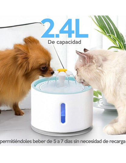 VivaPaw - Fuente de bienestar para tu compañero fiel